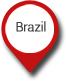 business in Brazil icon