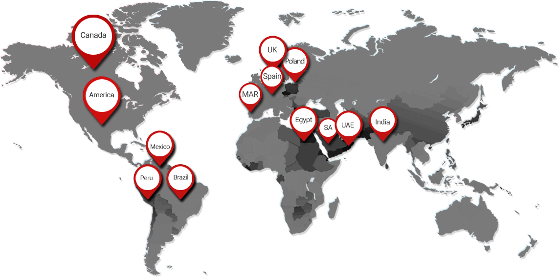 world map of Ningbo Promise business