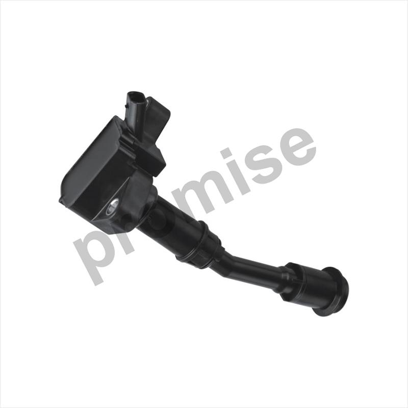 IG-0037 Best Sell Ignition Coil Pack for Ford Ecsport 1.5L/Fiesta FORD DS7G-12A366-BB DS7Z-12029-B