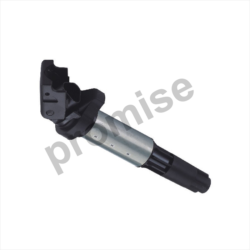 IG-1110 Ignition coil BERU 0040100324 ZS324  BMW 12131712219 12137551260 12131712223  BOSCH 0221504100 0221504464  STANDARD 12758  IIS063  TESLA CL602