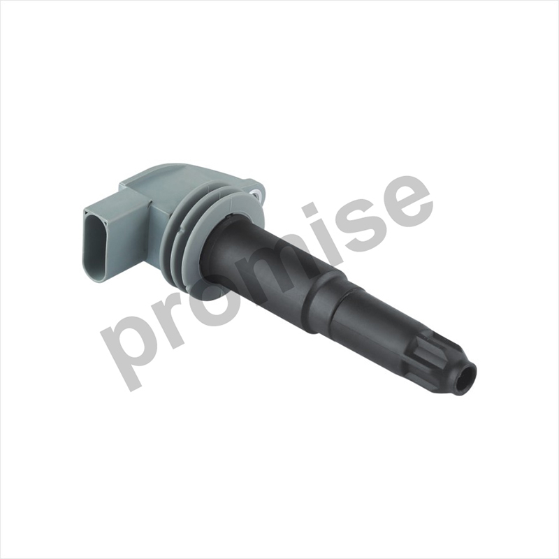 IG-8060G-Professional and Cuscomerizing Factory Ignition Coil  OE 0040102052/ZSE052